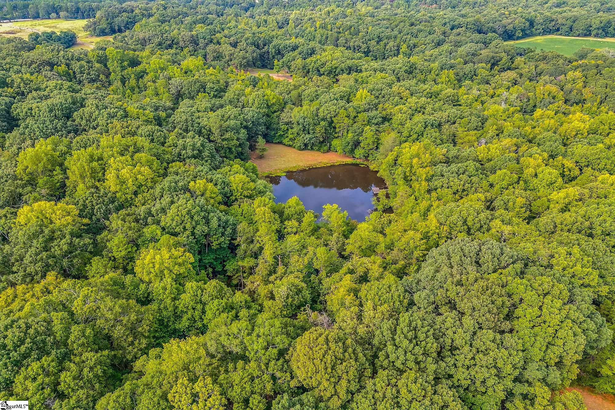 143 George Merck Road Anderson, SC 29626 - Photo 35 of 36