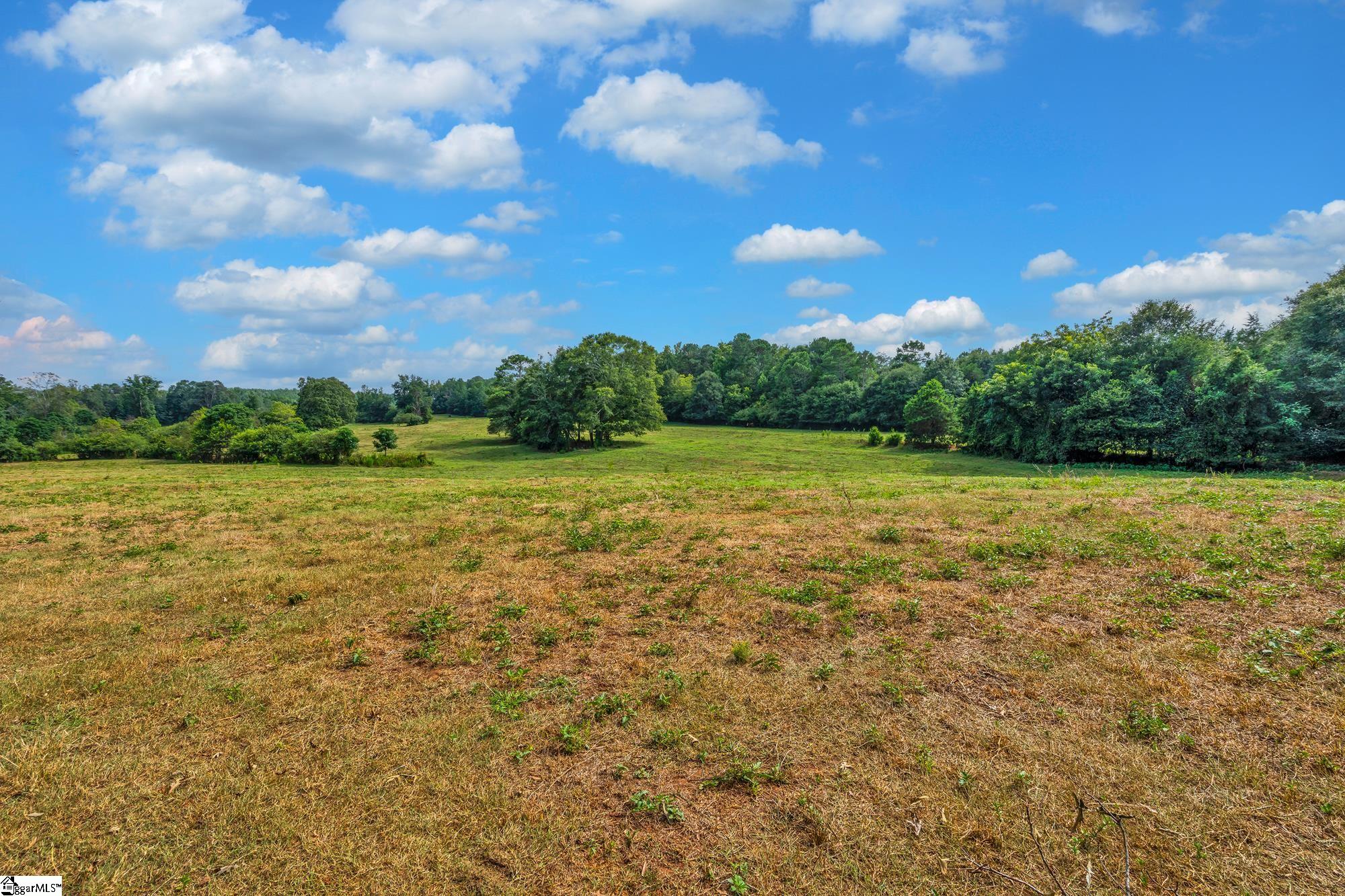 143 George Merck Road Anderson, SC 29626 - Photo 4 of 36