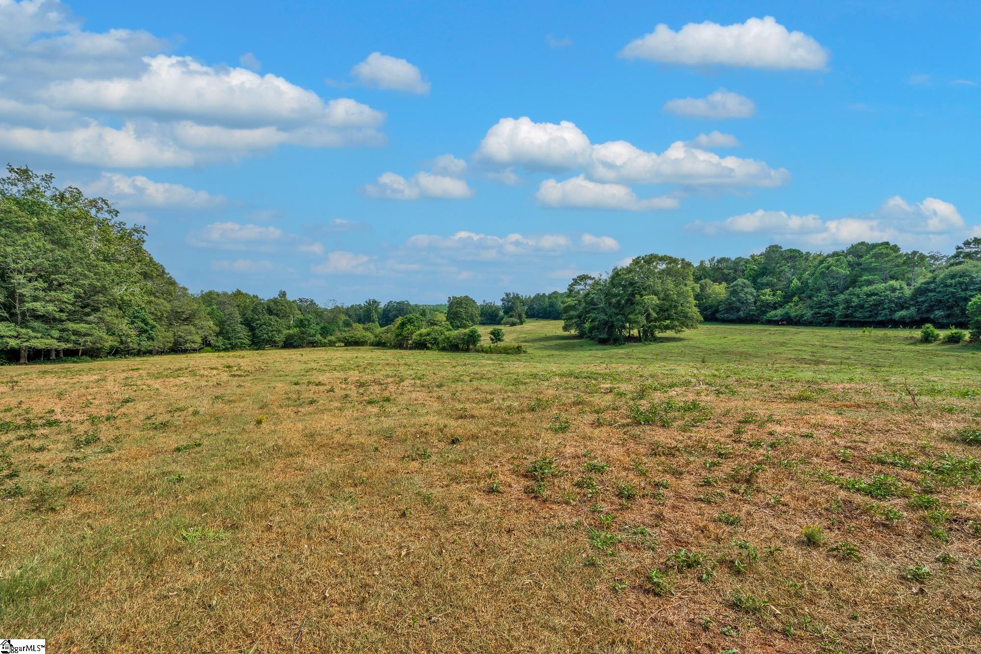 143 George Merck Road Anderson, SC 29626 - Photo 5 of 36