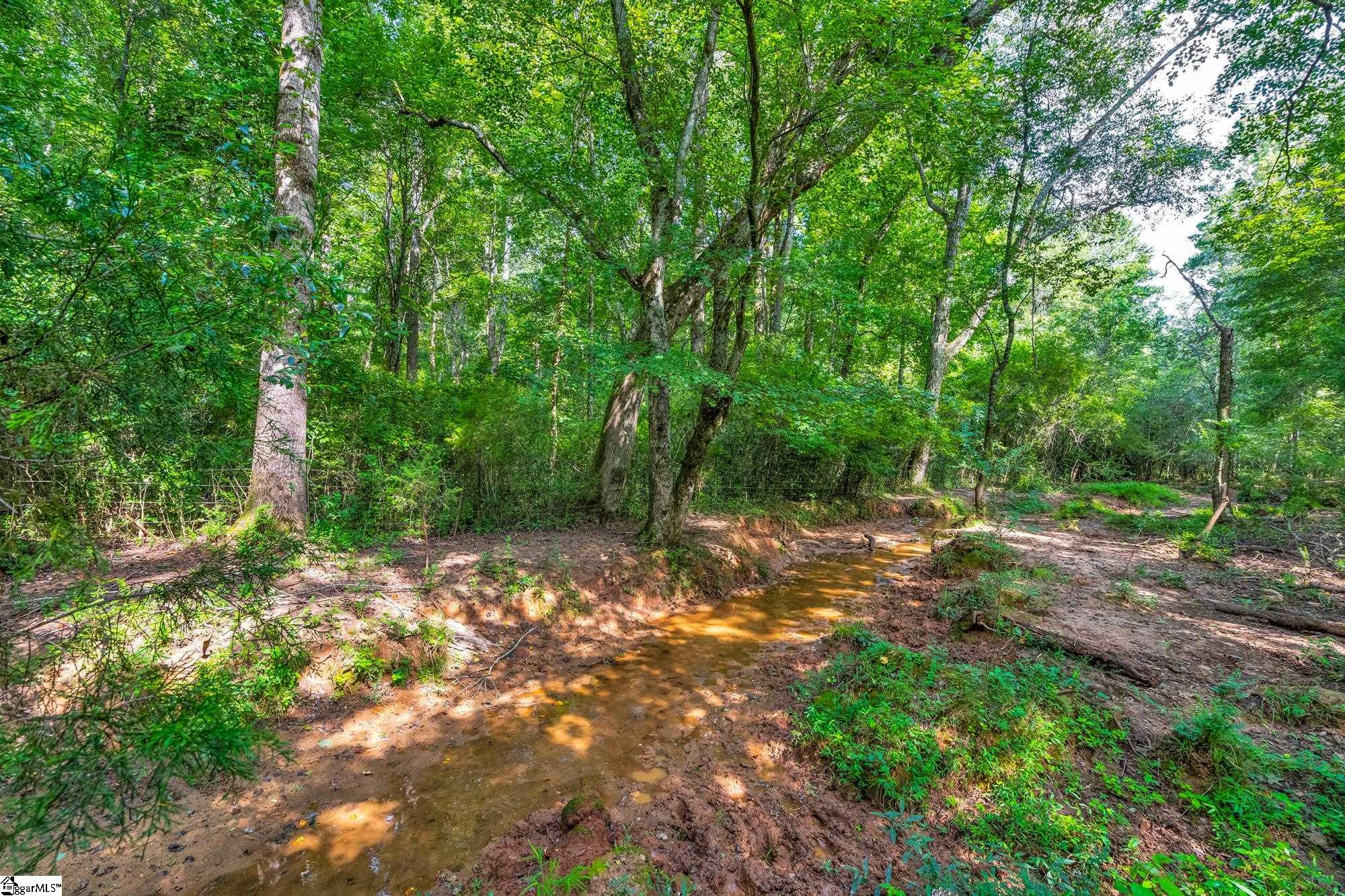 143 George Merck Road Anderson, SC 29626 - Photo 7 of 36