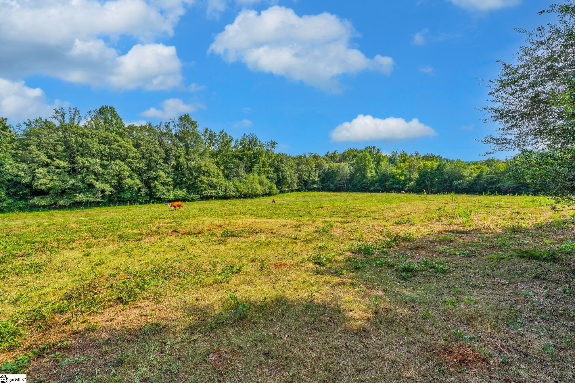 143 George Merck Road Anderson, SC 29626 - Photo 10 of 36