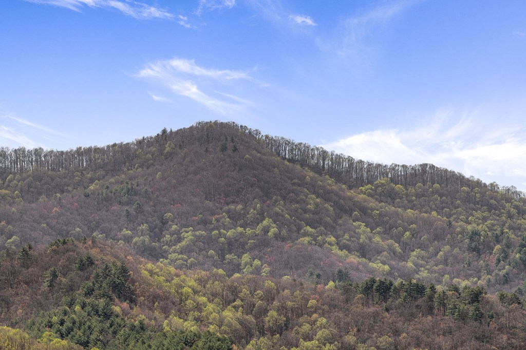 5 High Ridge Road Epworth, GA 30541 - Photo 12 of 27 a view of a dry space with mountains in the background