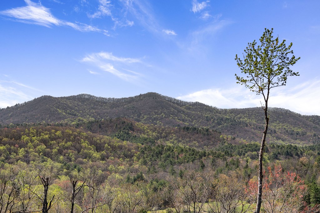 5 High Ridge Road Epworth, GA 30541 - Photo 7 of 27 a view of a mountain
