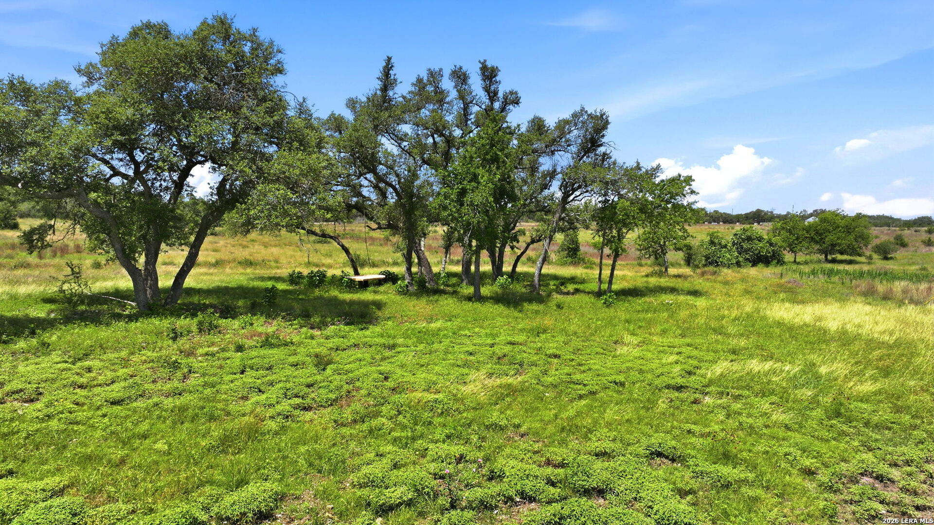 718 Windmill Ridge Drive Blanco, TX 78606 - Photo 10 of 32