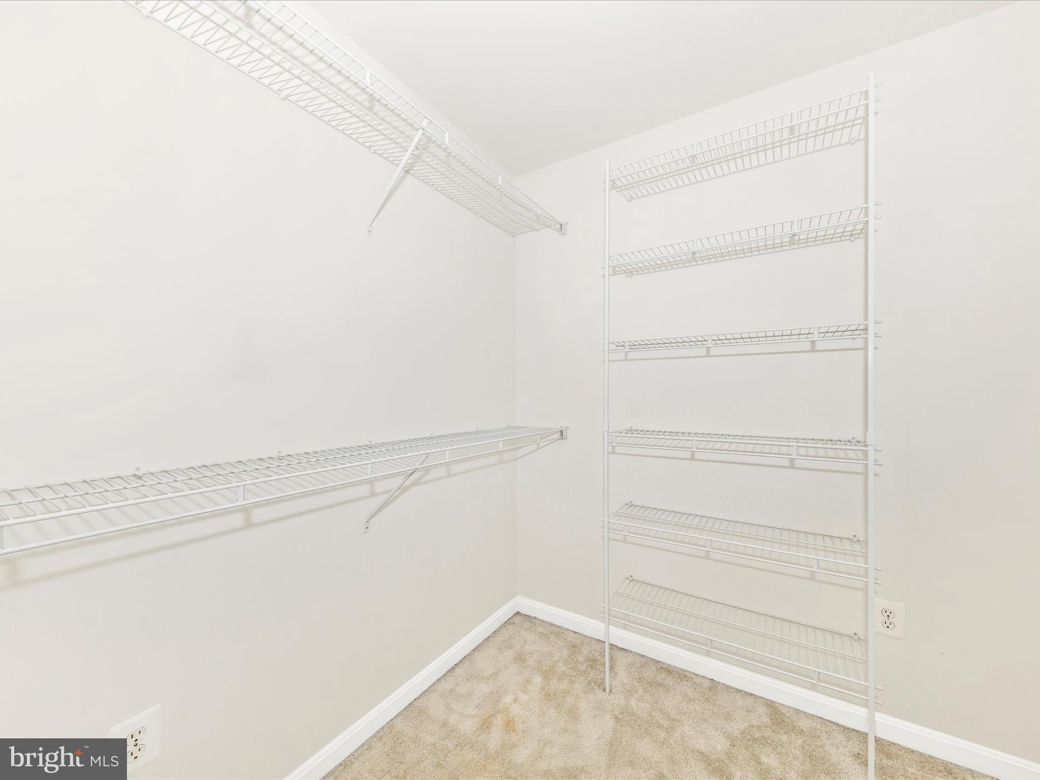 2103 Paxton Terrace Frederick, MD 21702 - Photo 29 of 51 a view of an empty walk in closet