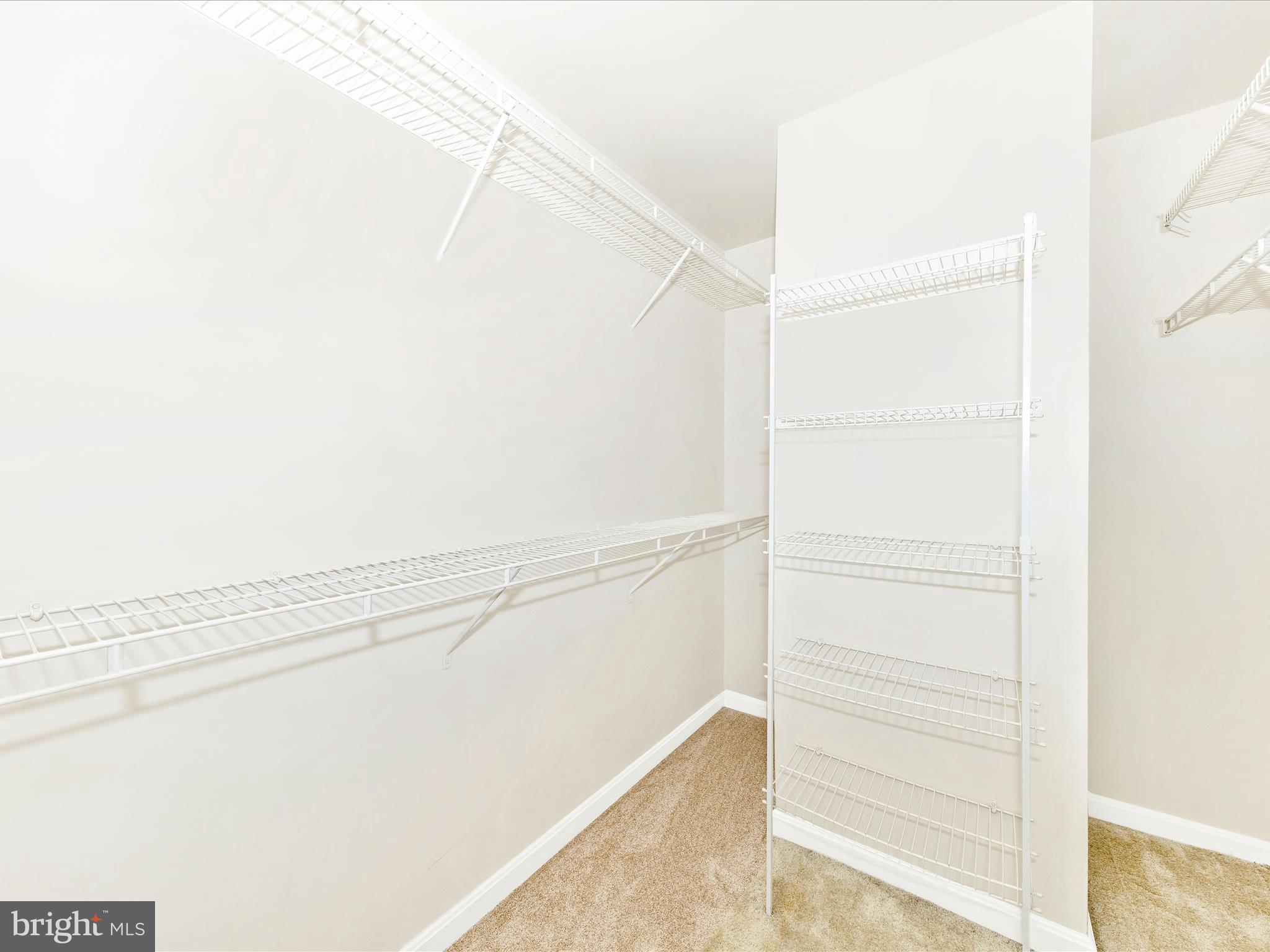 2103 Paxton Terrace Frederick, MD 21702 - Photo 30 of 51 a view of closet