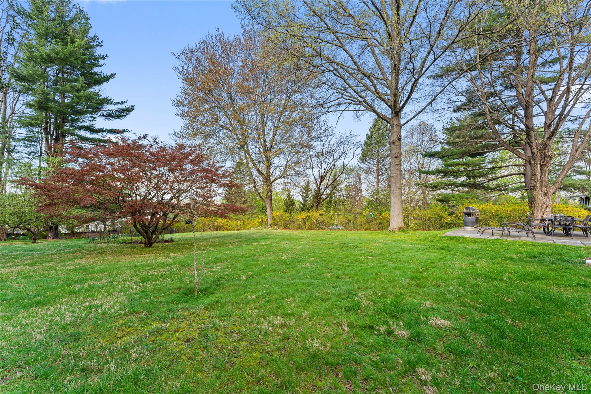 8 Riverview Farm Road Ossining, NY 10562 - Photo 17 of 21 Expansive backyard