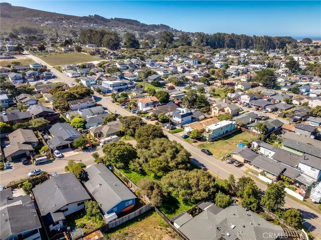 an aerial view of residential houses with outdoor space and trees