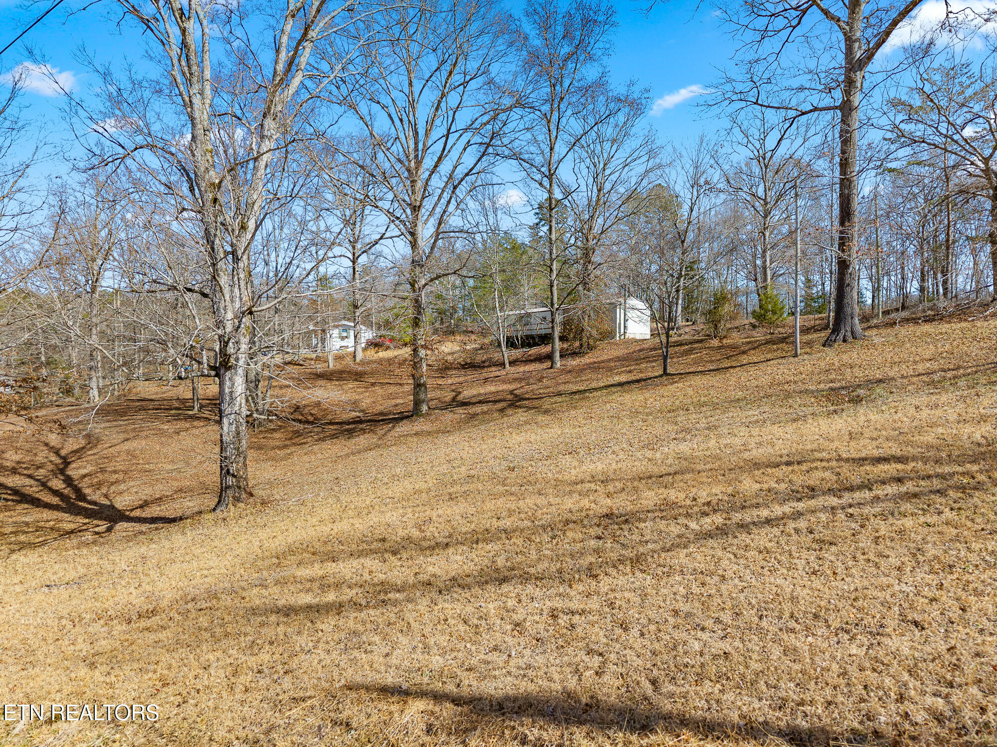 454 County Road 188 Decatur, TN 37322 - Photo 13 of 16 454 Cr 188-12