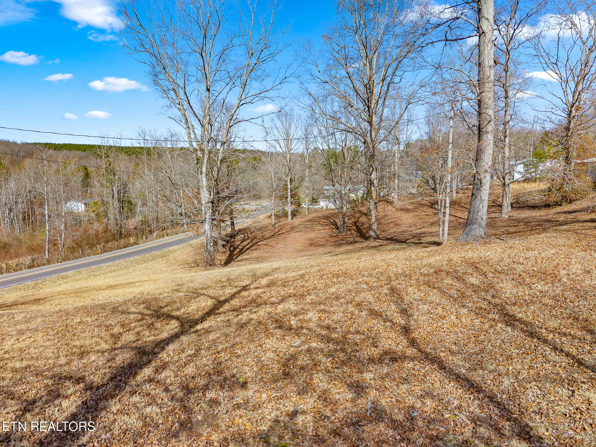 454 County Road 188 Decatur, TN 37322 - Photo 7 of 16 454 Cr 188-6