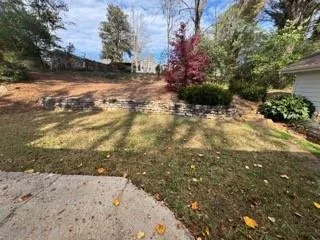 a view of a yard with a tree
