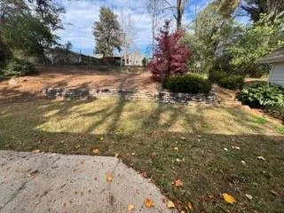 a view of a yard with trees