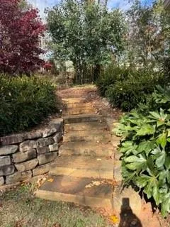 a view of a yard with plants and large trees