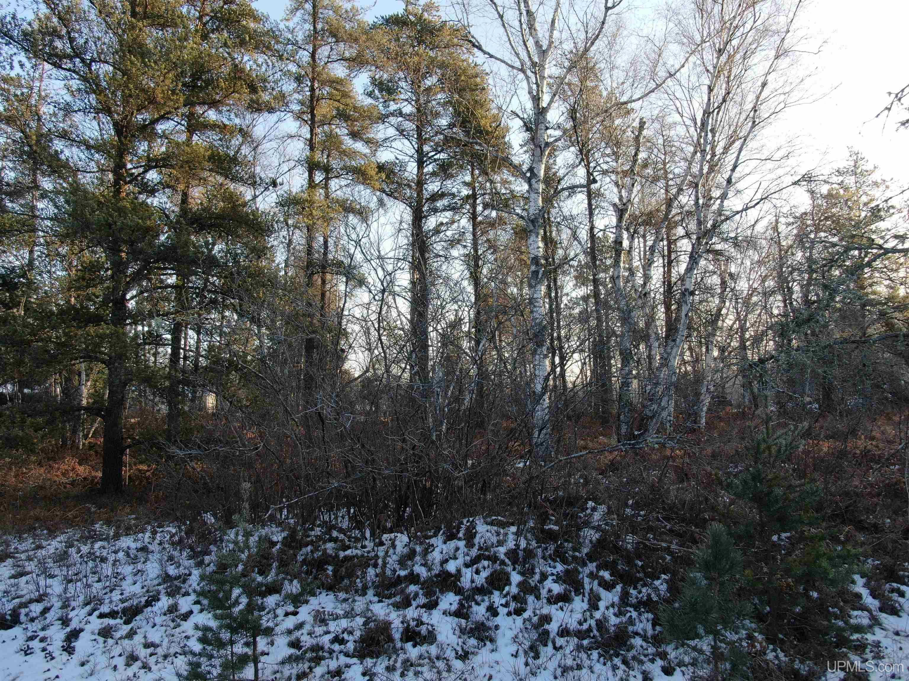 Tbd South Little Perch Lake North Ishpeming, MI 49849 - Photo 7 of 14