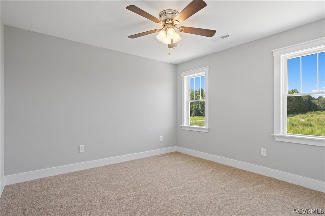19795 Log Road Dillwyn, VA 23936 - Photo 23 of 30 Gallery Image 23