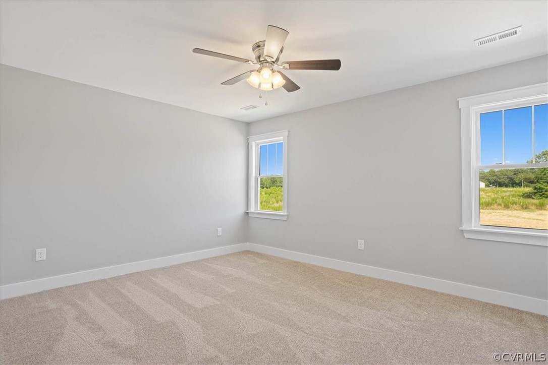 19795 Log Road Dillwyn, VA 23936 - Photo 25 of 30 Gallery Image 25