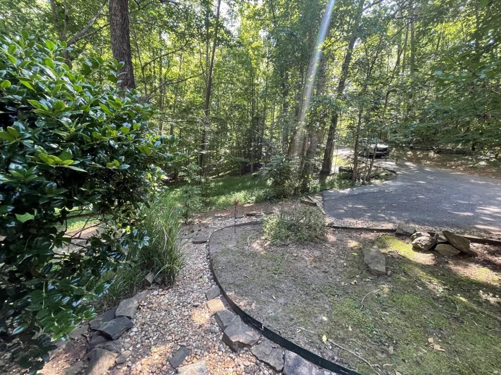 988 Rocktree Road Dahlonega, GA 30533 - Photo 2 of 53