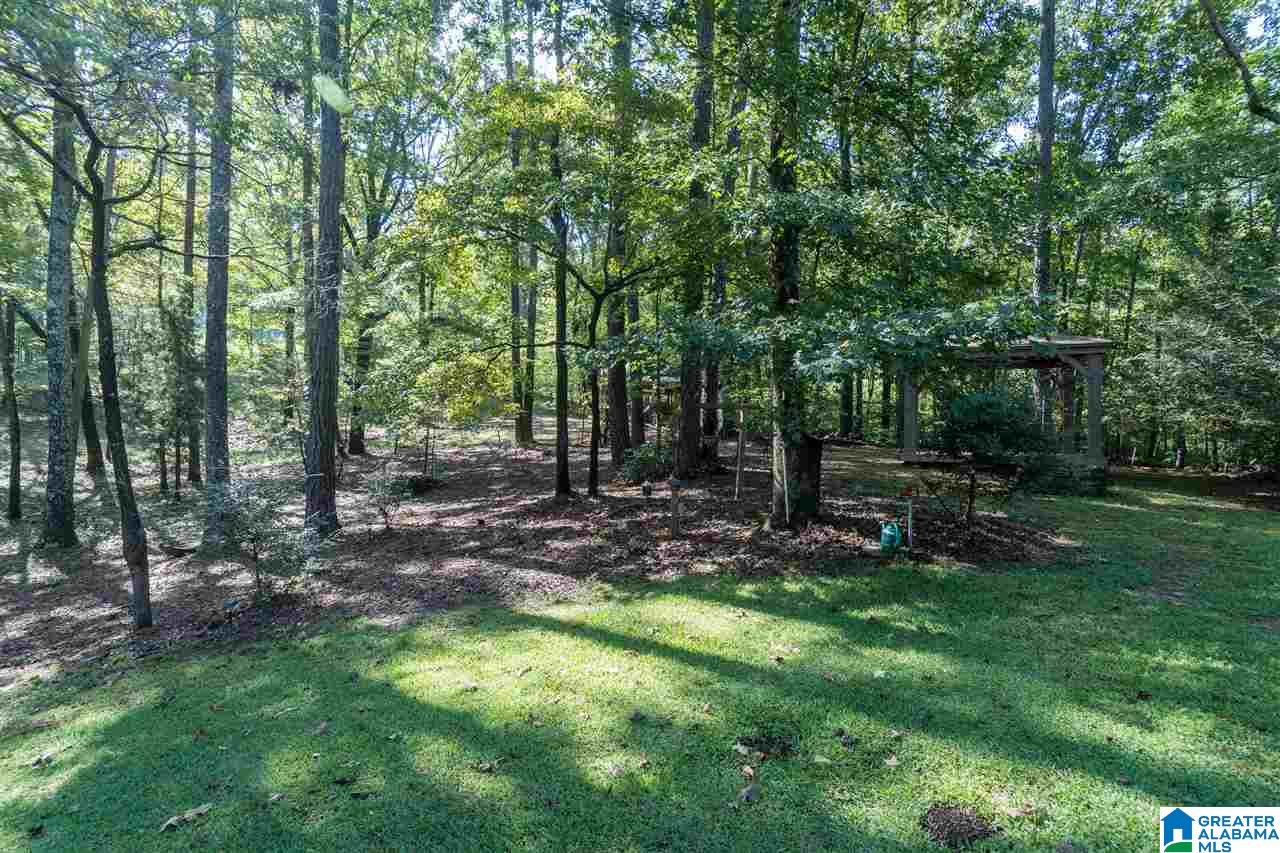 8849 Bluff Ridge Road Bessemer, AL 35022 - Photo 34 of 44 Gallery Image 34