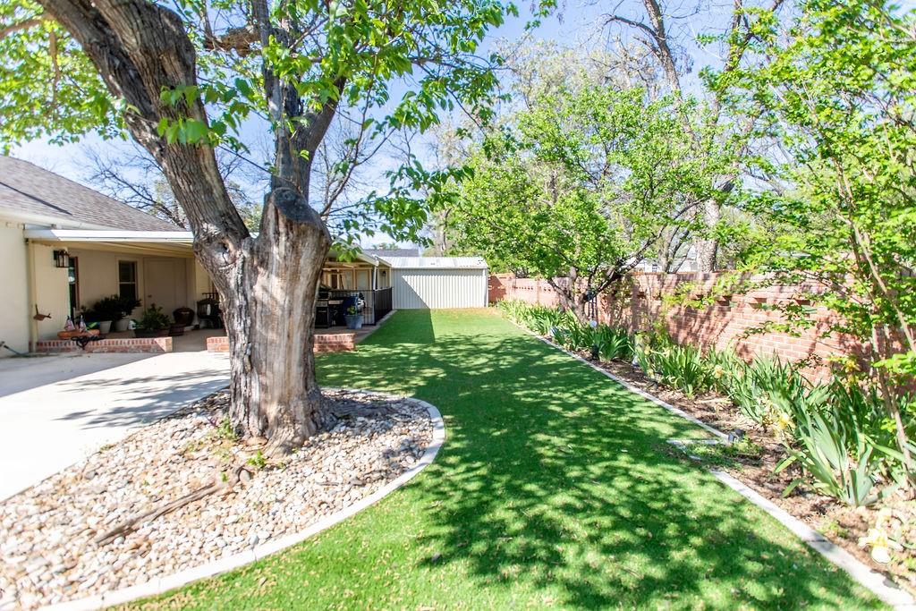 149 Russ Street Albany, TX 76430 - Photo 23 of 25 a tree in the garden of a house