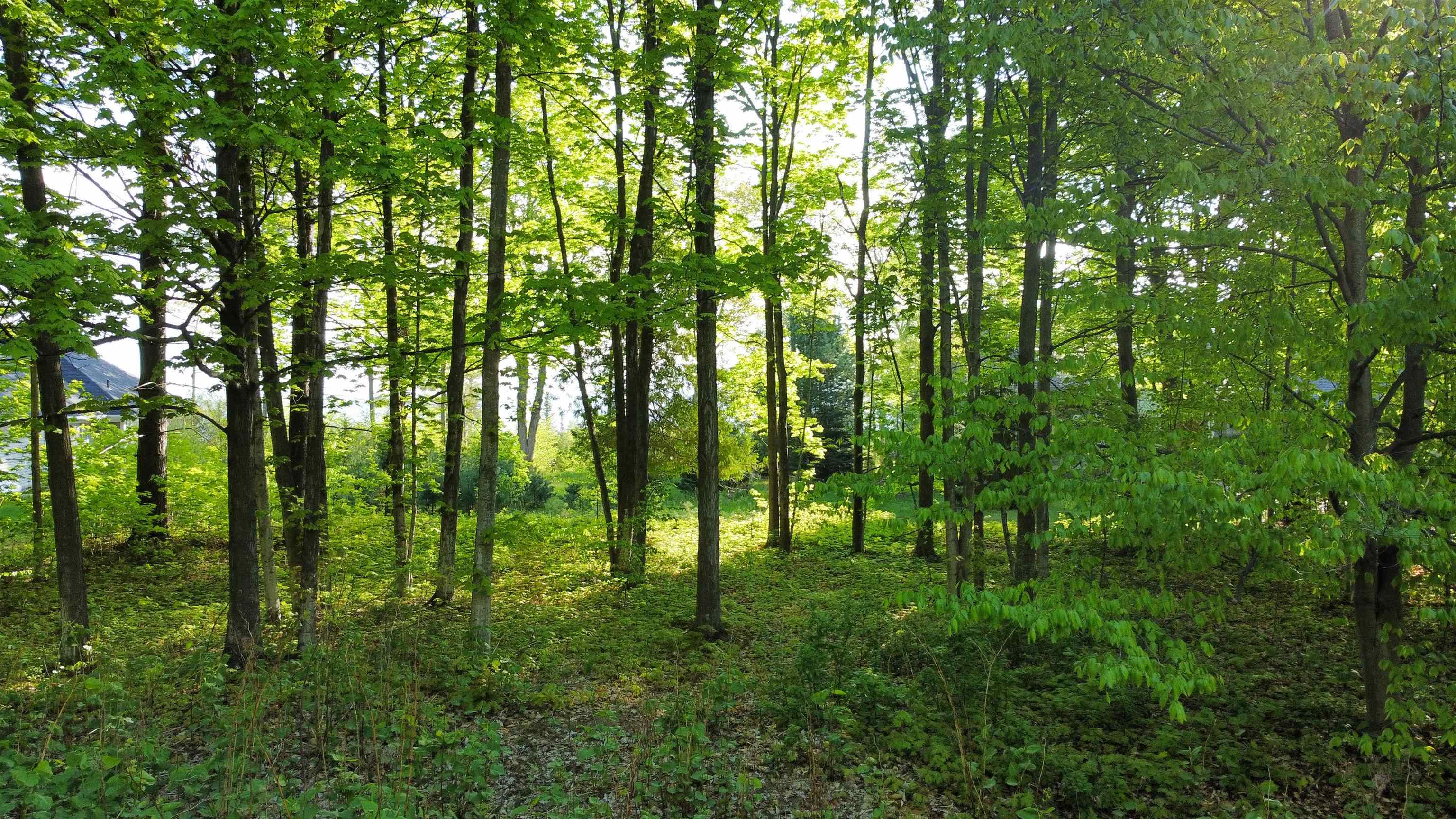 0 Robins Ridge Charlevoix, MI 49720 - Photo 5 of 16