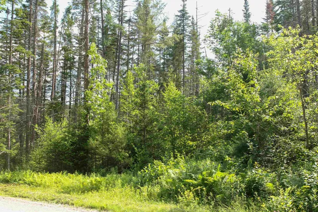 $199,000 | 0 Boynton Road, Londonderry, VT 05148