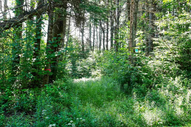 $199,000 | 0 Boynton Road, Londonderry, VT 05148