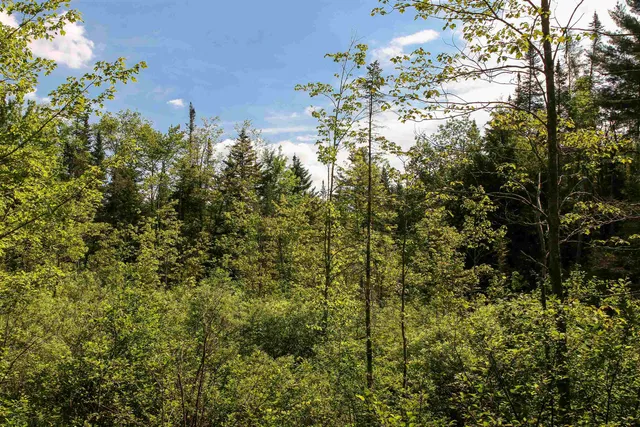 $199,000 | 0 Boynton Road, Londonderry, VT 05148