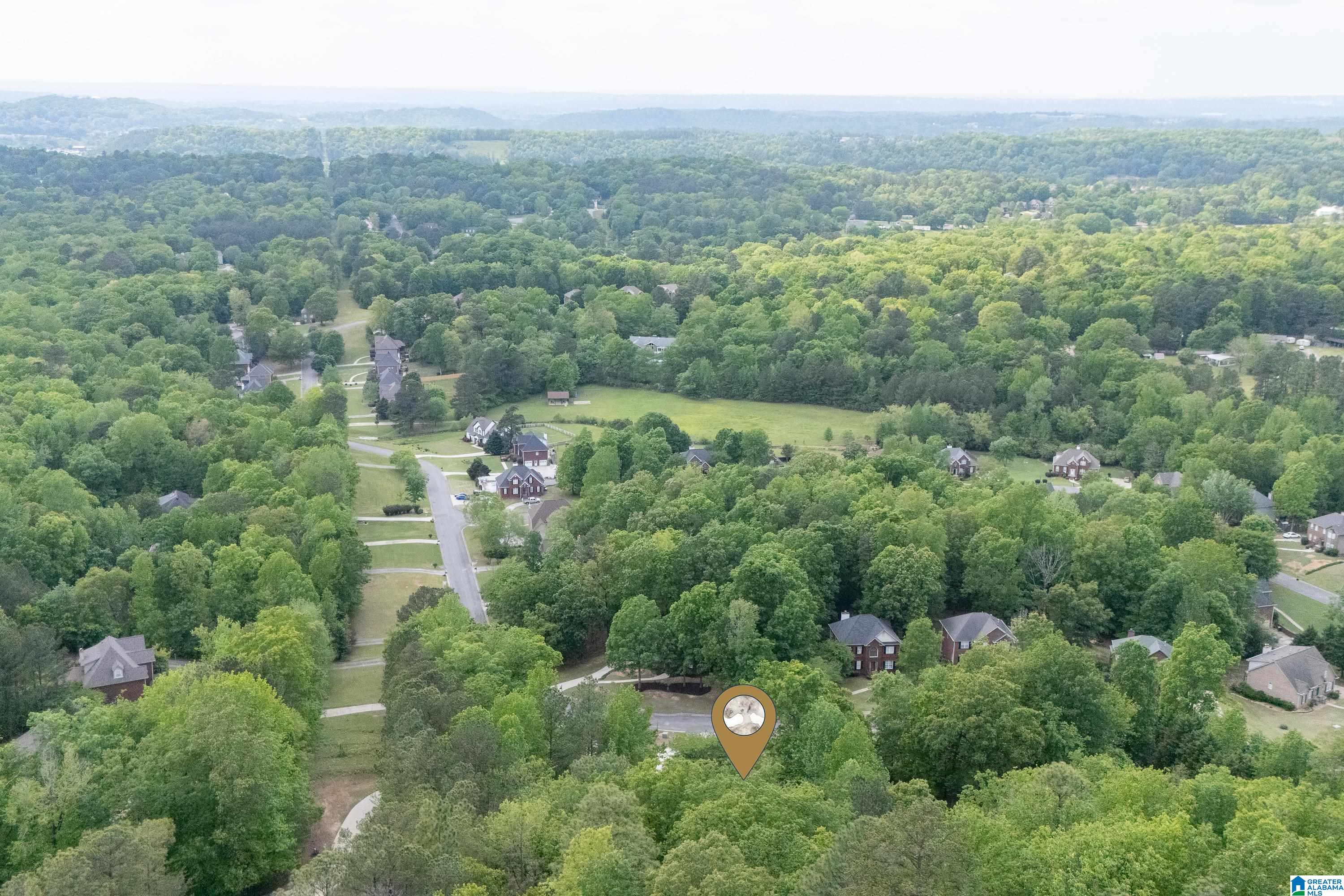 192 Silverleaf Drive Pelham, AL 35124 - Photo 53 of 57