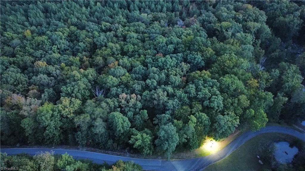 593 Boulder Ridge Drive Denton, NC 27239 - Photo 3 of 10