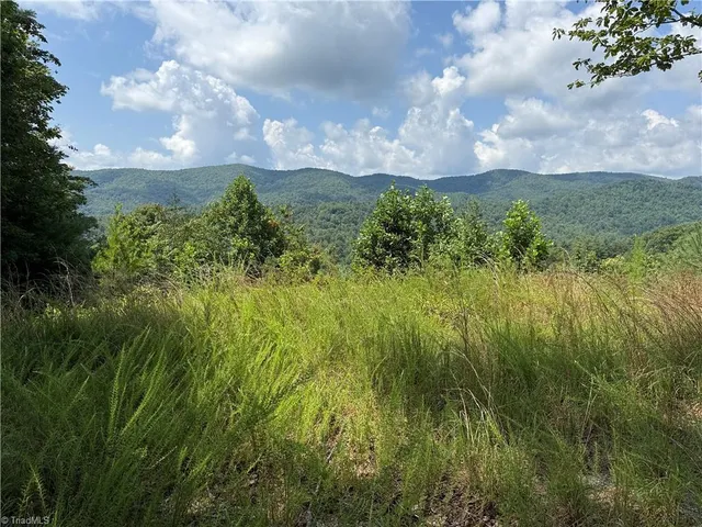 $124,900 | Tbd Tbd Lazy Bear Lane, Purlear, NC 28665