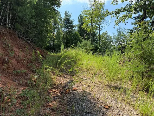 $124,900 | Tbd Tbd Lazy Bear Lane, Purlear, NC 28665