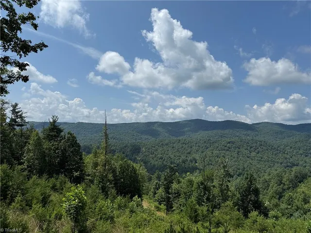 $124,900 | Tbd Tbd Lazy Bear Lane, Purlear, NC 28665