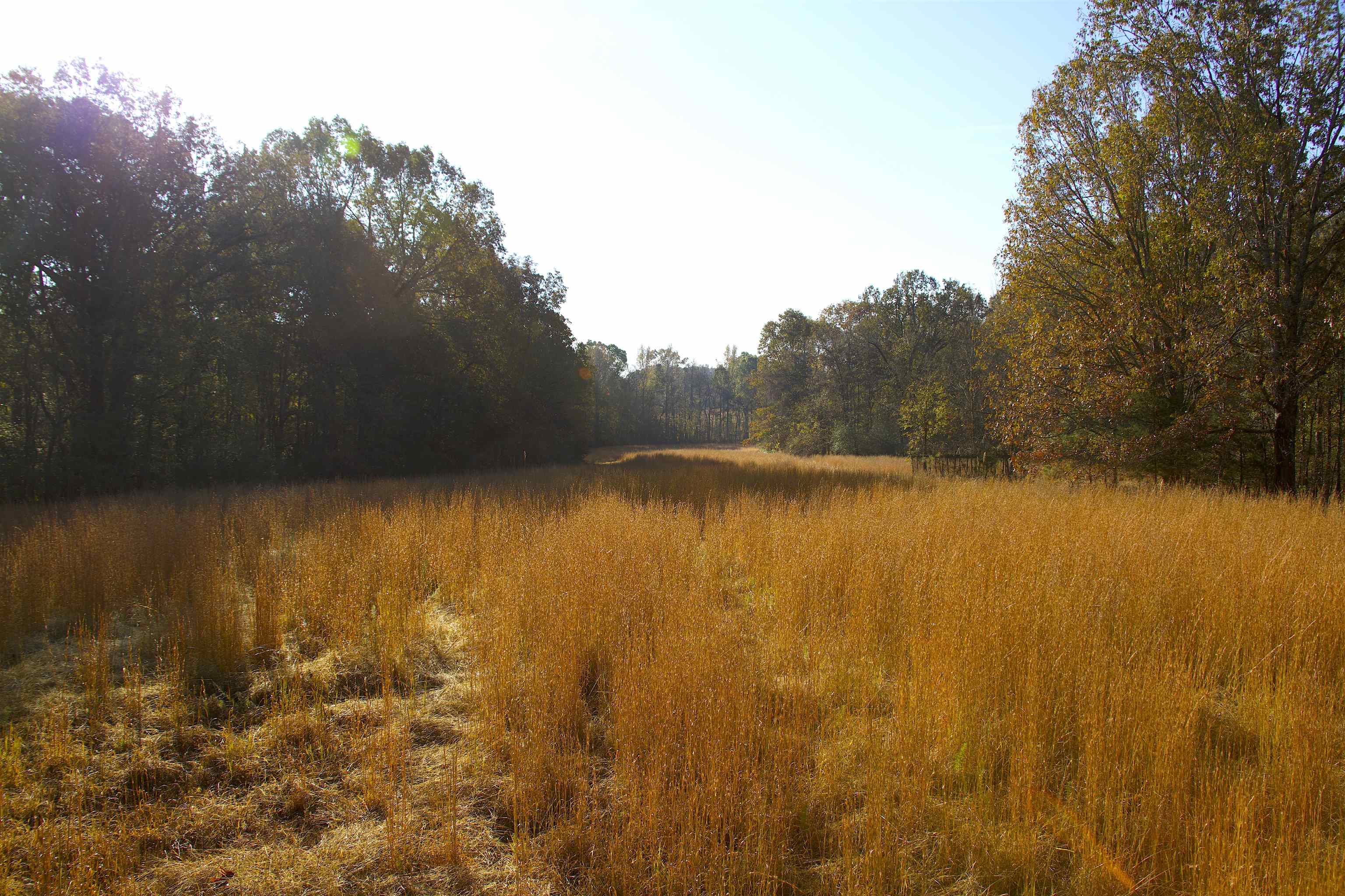1000 Bateman Road Moscow, TN 38057 - Photo 1 of 20 Gallery Image 1