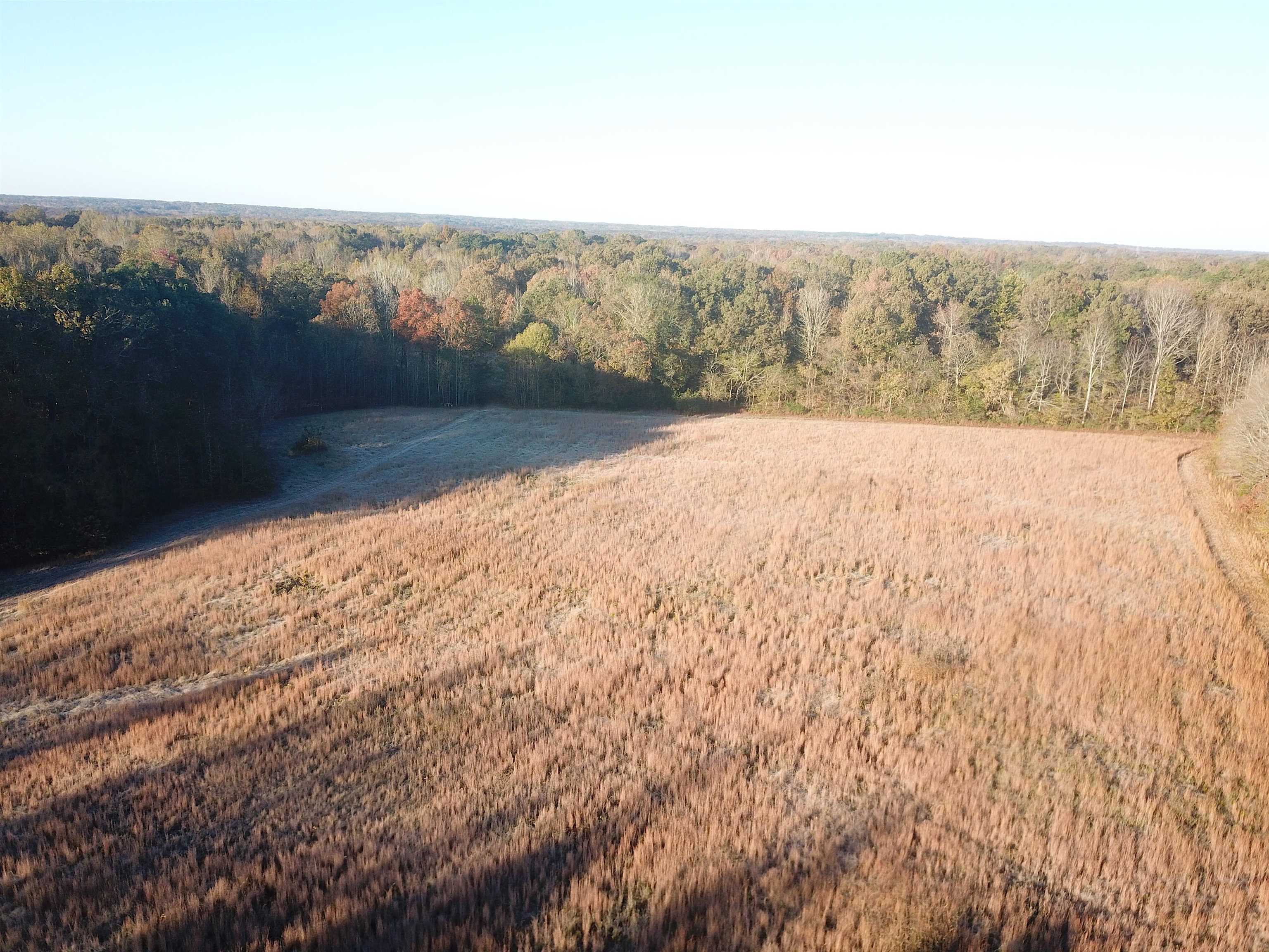 1000 Bateman Road Moscow, TN 38057 - Photo 5 of 20 Gallery Image 5