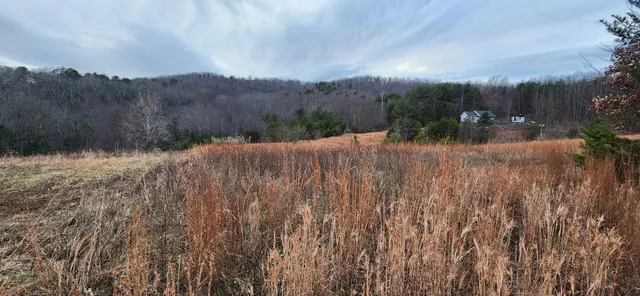 a view of backyard and mountain view
