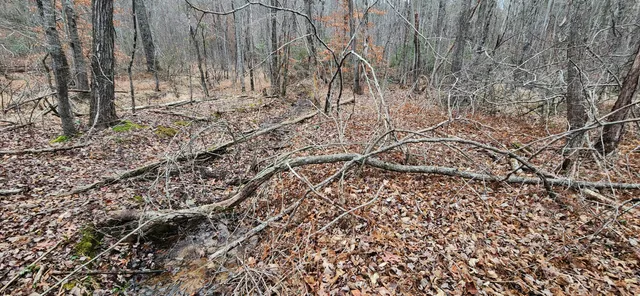 a view of a backyard of the house