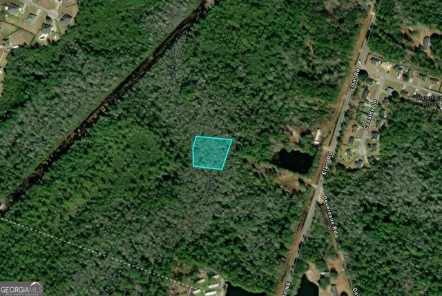 $11,000 | 1.17-acres Elam Road, Hinesville, GA 31313