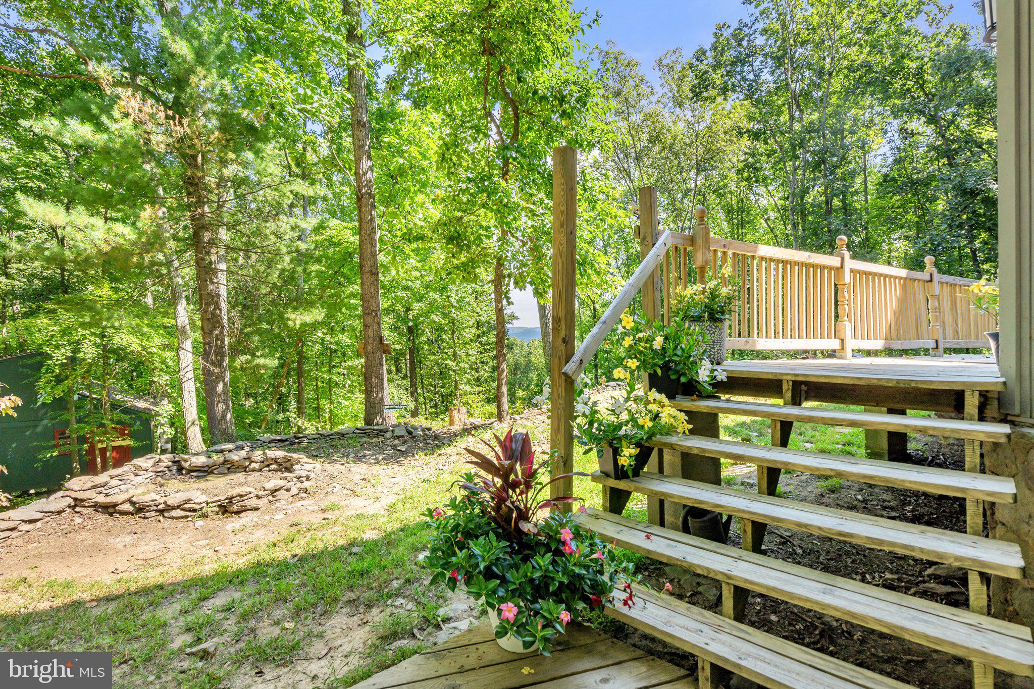 9417 Mountjoy Road Marshall, VA 20115 - Photo 19 of 45