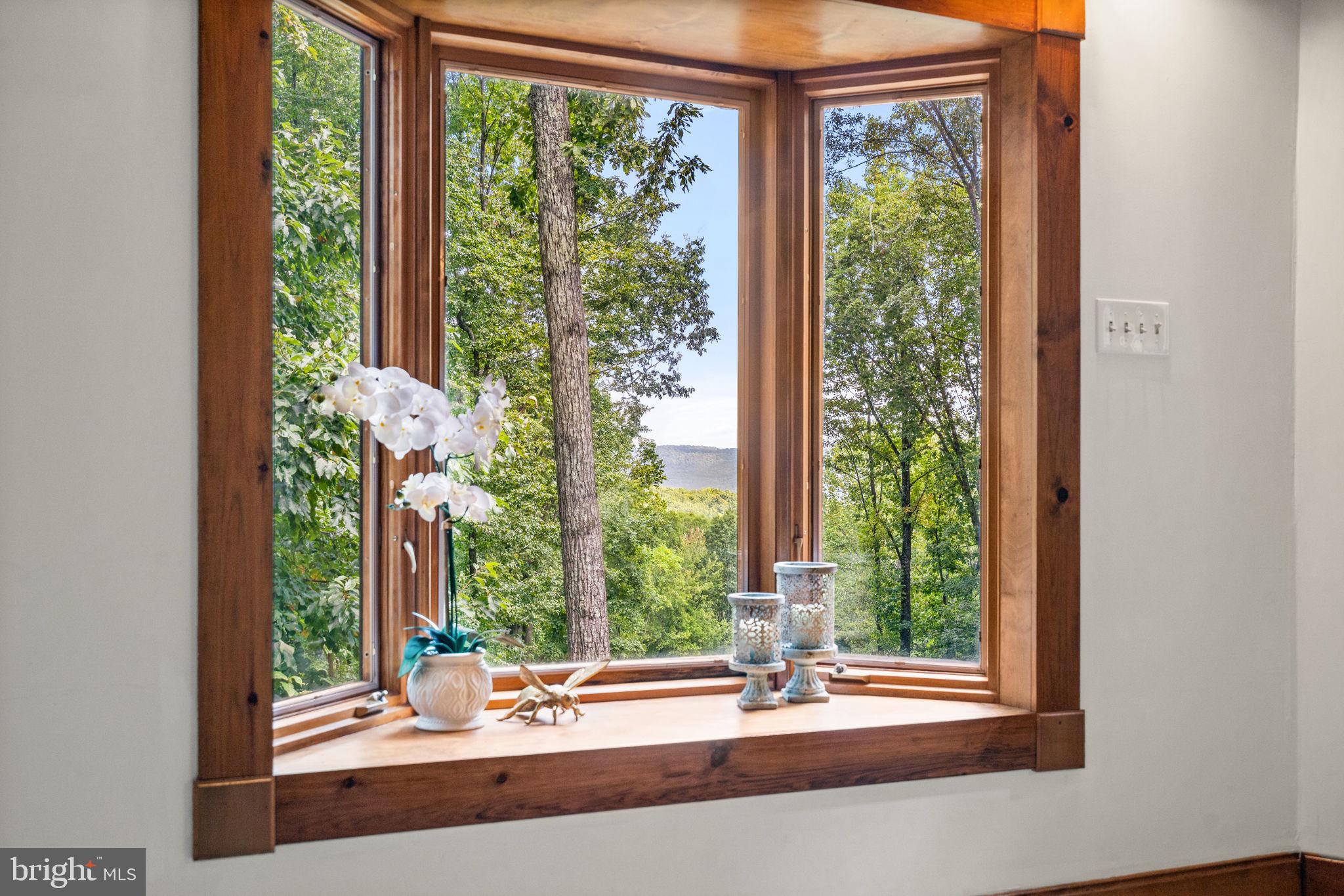 9417 Mountjoy Road Marshall, VA 20115 - Photo 22 of 45 Look at that view!