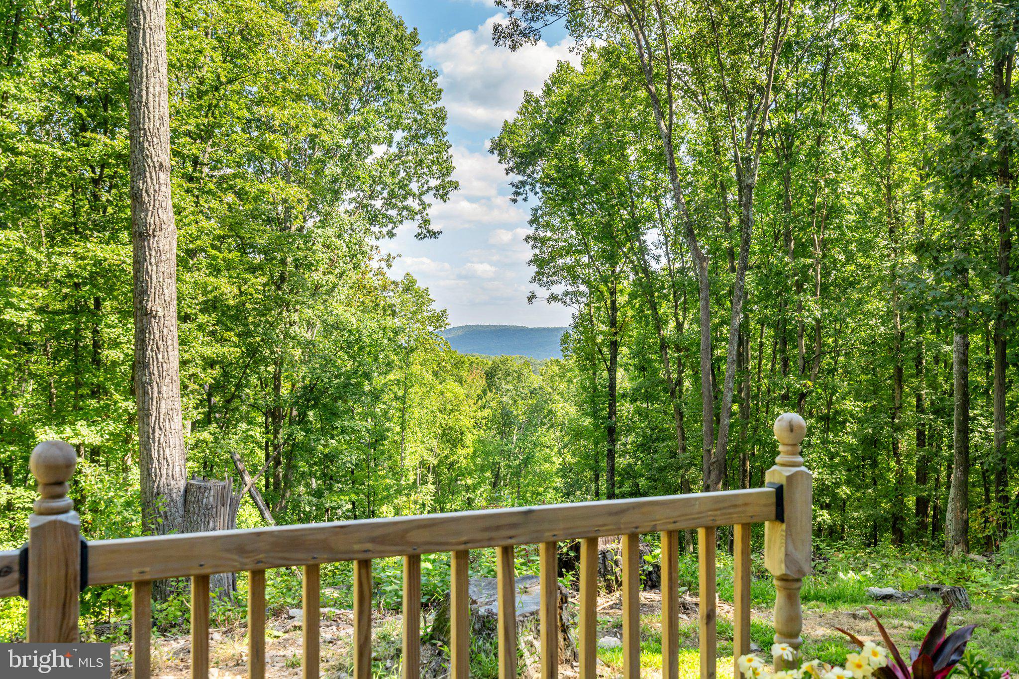 9417 Mountjoy Road Marshall, VA 20115 - Photo 4 of 45 Mountain Views!!