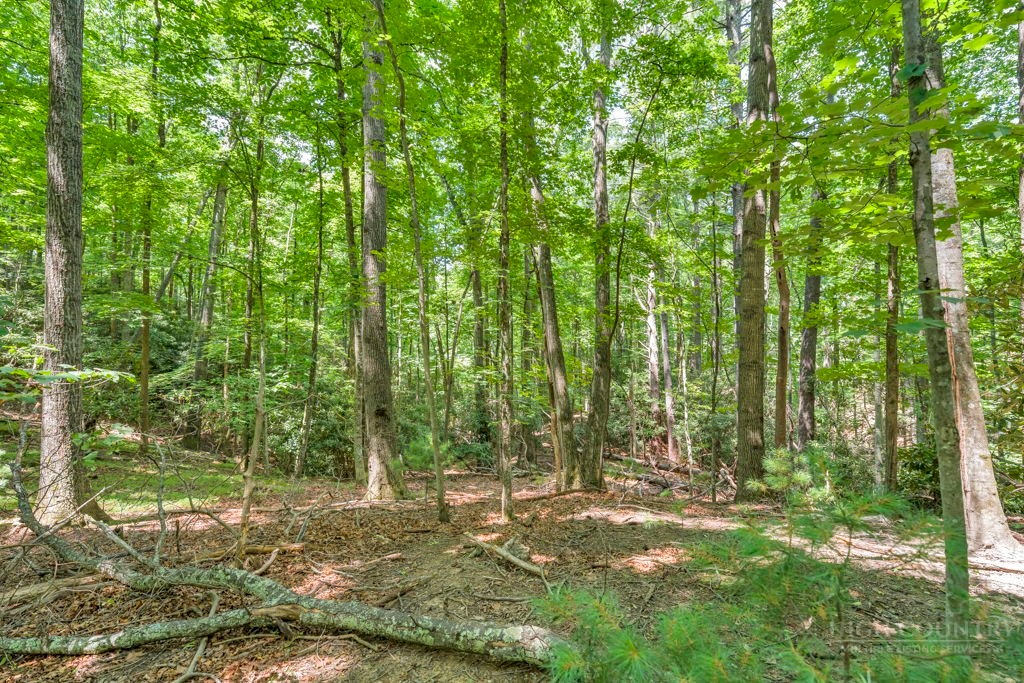 11-14 Powder Horn Mountain Road Deep Gap, NC 28618 - Photo 12 of 38