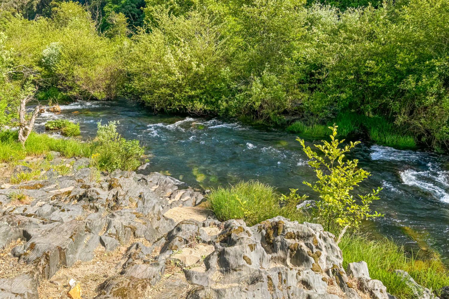 6060 Terras Path Placerville, CA 95667 - Photo 39 of 40 Private Consumes River Swim Hole On Property
