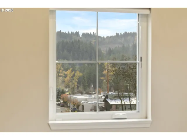 a window that has tree in front of it