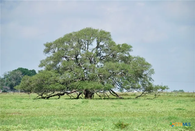 $760,000 | 4361 Highway 77, Hallettsville, TX 77964