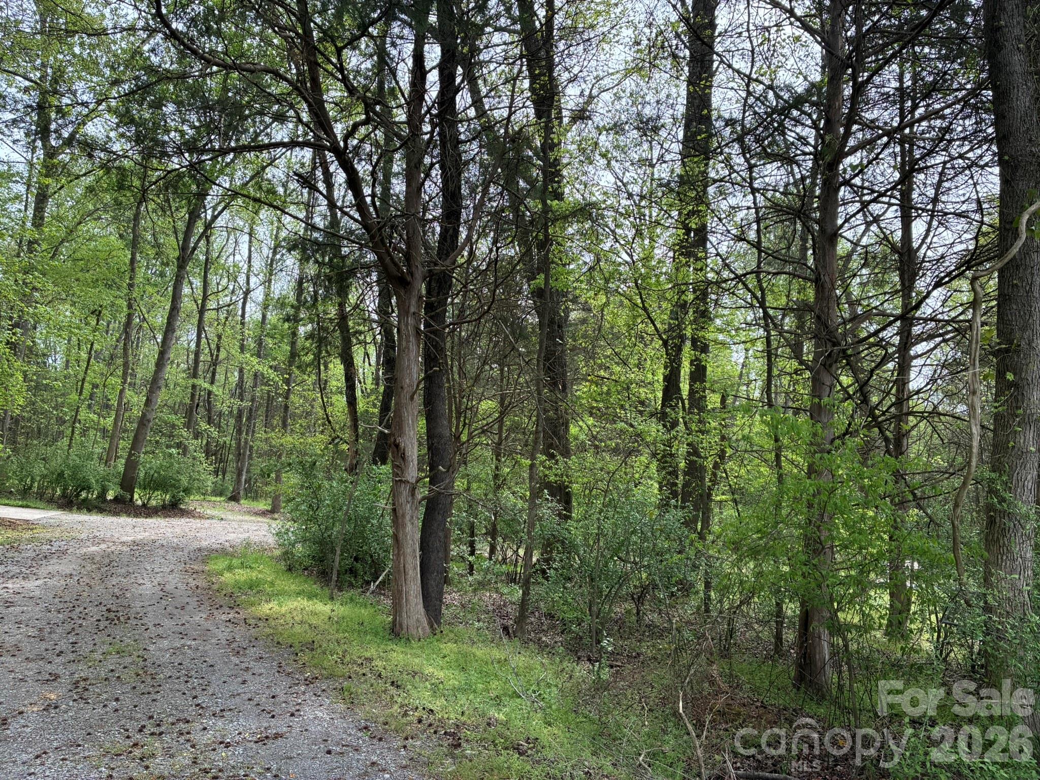1 Miller Pond Road Rock Hill, SC 29732 - Photo 9 of 13