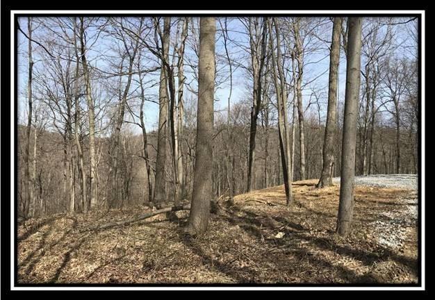 0 Greenbriar Road Bainbridge, OH 45612 - Photo 16 of 28