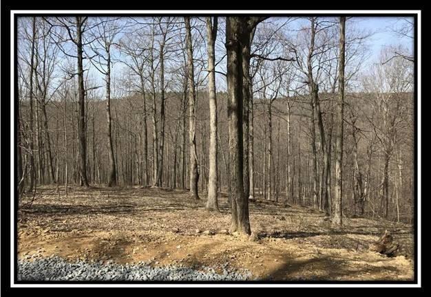 0 Greenbriar Road Bainbridge, OH 45612 - Photo 19 of 28
