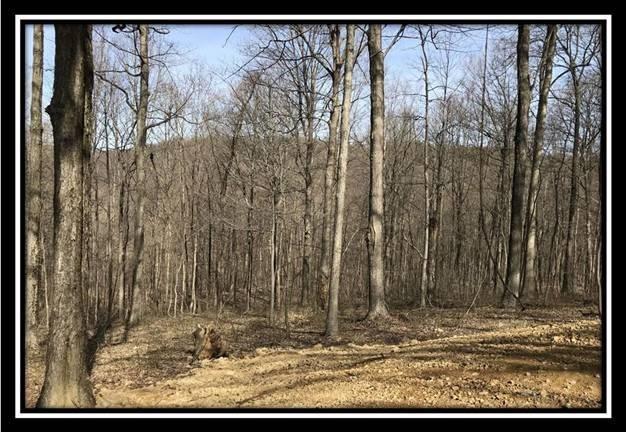 0 Greenbriar Road Bainbridge, OH 45612 - Photo 21 of 28