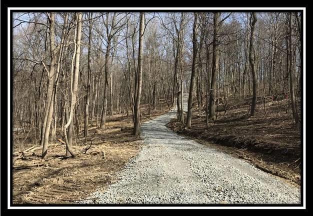 0 Greenbriar Road Bainbridge, OH 45612 - Photo 22 of 28