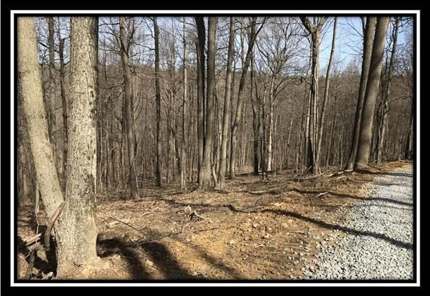 0 Greenbriar Road Bainbridge, OH 45612 - Photo 24 of 28